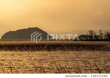 Photographing a submerged forest at dusk in winter in Onoue, Kohoku-cho, Nagahama City, Shiga Prefecture 136372380