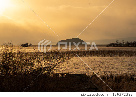 在滋賀縣長濱市港北町小上拍攝冬季黃昏的水下森林 136372382