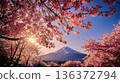 富士山在夕陽的映照下，籠罩在一片櫻花薄霧之中。 136372794