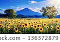 富士山和向日葵田沐浴在夏日的陽光下 136372879