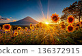富士山金色的山巒和在晨光中盛開的向日葵 136372915