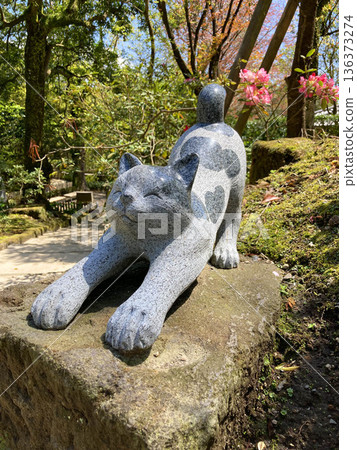 Sengan-en Garden, Cat Shrine, and Nekogamisha Shrine (Kagoshima City, Kagoshima Prefecture) 136373274