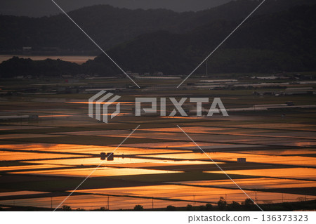 從滋賀縣東近江市豬子町的豬子山上眺望，傍晚時分，稻田在播種前的夕陽映照下泛著橙紅的光芒。 136373323
