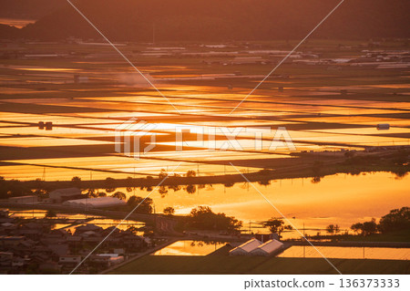 從滋賀縣東近江市豬子町的豬子山上眺望,傍晚時分,稻田在播種前的夕陽映照下泛著橙紅的光芒。 從滋賀縣東近江市豬子町的豬子山上眺望,傍晚時分,稻田在播種前的夕陽映照下泛著橙紅的光芒。 136373333
