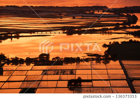 An evening view of flooded rice paddies glowing orange before planting, seen from Mt. Inoko in Inoko-cho, Higashiomi City, Shiga Prefecture 136373353