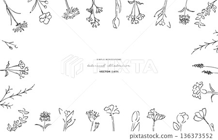 植物線條藝術插圖。植物向量插圖背景。葉子和花背景框。 植物線條藝術插圖。植物向量插圖背景。葉子和花背景框。 136373552