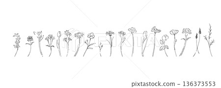 植物線條藝術插圖。植物向量插圖背景。葉子和花背景框。 植物線條藝術插圖。植物向量插圖背景。葉子和花背景框。 136373553