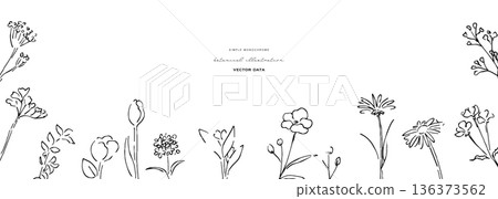 Botanical line art illustration. Botanical vector illustration background. Leaves and flowers background frame. 136373562