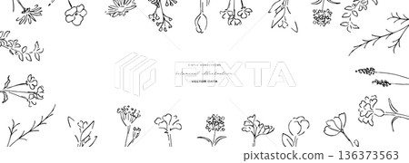 Botanical line art illustration. Botanical vector illustration background. Leaves and flowers background frame. 136373563