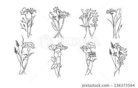 Botanical line art illustration. Botanical vector illustration background. Leaves and flowers background frame. 136373564