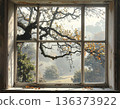 AI-generated image of a hazy, foggy forest outside the window of an old house 136373922