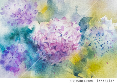 Hydrangea watercolor painting 136374137