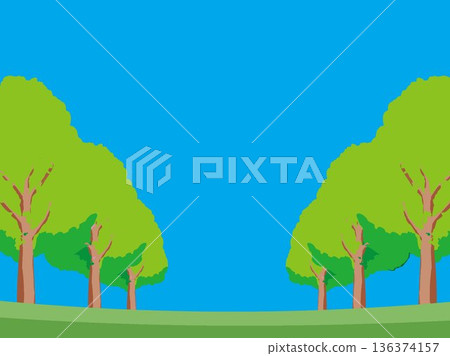 樹、自然、秋天、風景、背景、插畫、樹木、植物、黃色、森林、樹葉 136374157