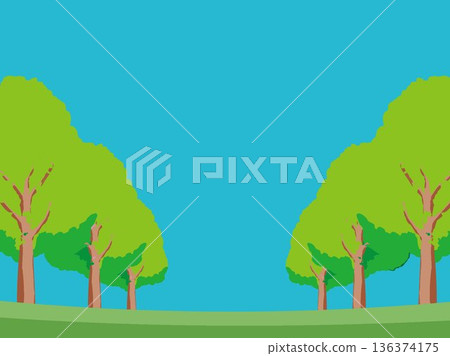 樹、自然、秋天、風景、背景、插畫、樹木、植物、黃色、森林、樹葉 136374175