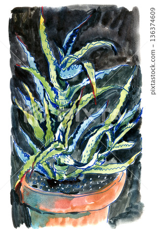 Illustration of Aloe Vera Plant in Pot Illustration of Aloe Vera Plant in Pot 136374609