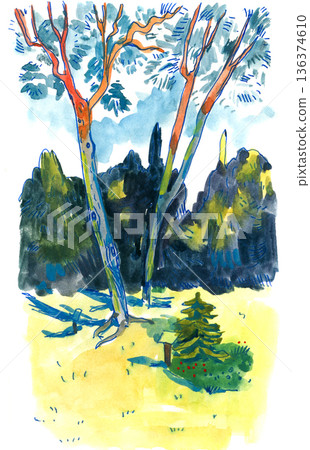 Watercolor Painting of Trees in a Sunny Meadow 136374610