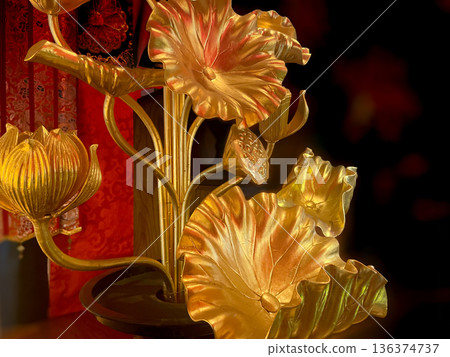 Golden lotus flowers and eternal flowers at temples Golden lotus flowers and eternal flowers at temples 136374737