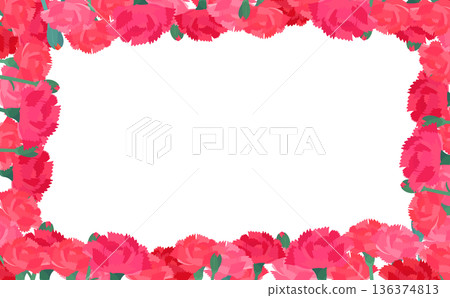 Carnation transparent background frame_horizontal 136374813
