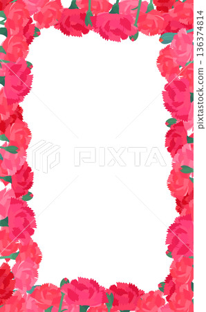 Carnation transparent background frame_vertical 136374814