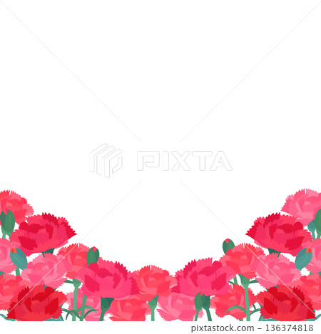康乃馨背景透明邊框_底部_方形 康乃馨背景透明邊框_底部_方形 136374818