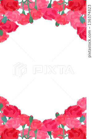 Carnation background transparent frame_vertical_vertical 136374823