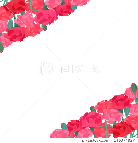 康乃馨背景透明邊框_垂直對角線_正方形 康乃馨背景透明邊框_垂直對角線_正方形 136374827