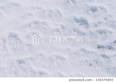 留在雪地裡的腳印 留在雪地裡的腳印 136374865