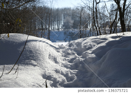 A snowy path winds through a winter forest with bare trees and bright sunlight A snowy path winds through a winter forest with bare trees and bright sunlight 136375721