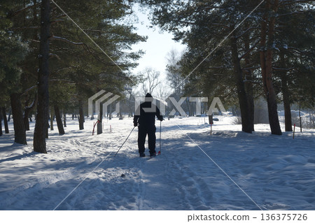 Silhouette of a person cross-country skiing through a snowy forest on a bright winter day Silhouette of a person cross-country skiing through a snowy forest on a bright winter day 136375726