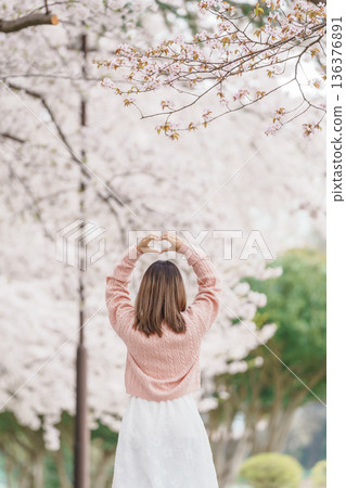 Woman tourist sightseeing Kajo Park Yamagata Castle Ruins with Sakura Cherry Blossom in Spring, happy traveler travel in Yamagata prefecture, Tohoku, Japan. famous Landmark for Travel and Vacation 136376891