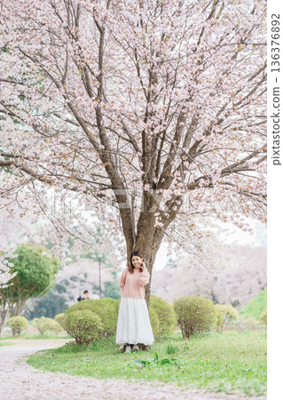 Woman tourist sightseeing Kajo Park Yamagata Castle Ruins with Sakura Cherry Blossom in Spring, happy traveler travel in Yamagata prefecture, Tohoku, Japan. famous Landmark for Travel and Vacation 136376892