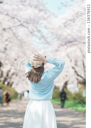 Woman tourist sightseeing Kitakami Tenshochi Park with Sakura Cherry Blossom in Spring, traveler travel in Kitakami festival, Iwate prefecture, Japan. Landmark for Travel and Vacation destination 136376911