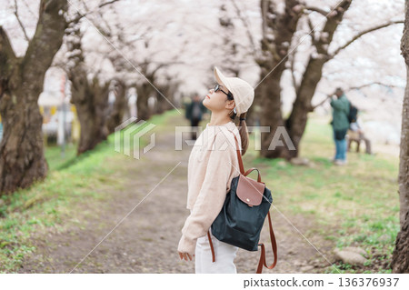 Woman tourist sightseeing Sakura Cherry Blossom in Spring. Happy traveler travel near Hinokinai River riverbank in Kakunodate town, Semboku District, Akita Prefecture, Japan. Landmark and Vacation Woman tourist sightseeing Sakura Cherry Blossom in Spring. Happy traveler travel near Hinokinai River riverbank in Kakunodate town, Semboku District, Akita Prefecture, Japan. Landmark and Vacation 136376937