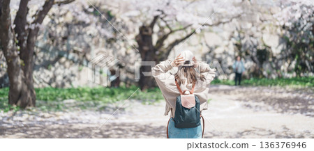 Woman tourist sightseeing Sakura Cherry blossom at Morioka Castle Ruins park in Spring, happy traveler travel in Iwate Park, Iwate prefecture, Japan. famous Landmark Travel and Vacation destination Woman tourist sightseeing Sakura Cherry blossom at Morioka Castle Ruins park in Spring, happy traveler travel in Iwate Park, Iwate prefecture, Japan. famous Landmark Travel and Vacation destination 136376946