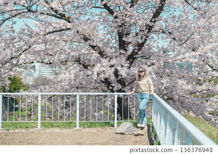 Woman tourist sightseeing Sakura Cherry blossom at Morioka Castle Ruins park in Spring, happy traveler travel in Iwate Park, Iwate prefecture, Japan. famous Landmark Travel and Vacation destination Woman tourist sightseeing Sakura Cherry blossom at Morioka Castle Ruins park in Spring, happy traveler travel in Iwate Park, Iwate prefecture, Japan. famous Landmark Travel and Vacation destination 136376948