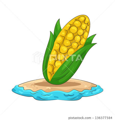 Illustration of corn 136377384