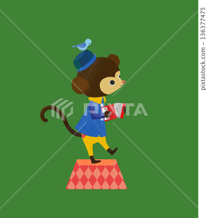 Cute monkey Cute monkey 136377475