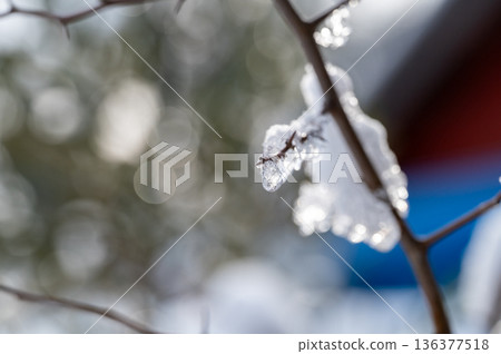 樹枝上積滿了雪,下雪天 樹枝上積滿了雪,下雪天 136377518