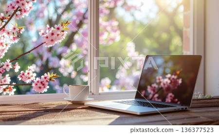 Spring, remote working. laptop coffee wooden table window cherry blossom spring sunlight outdoor workspace reflection with calm mood 136377523