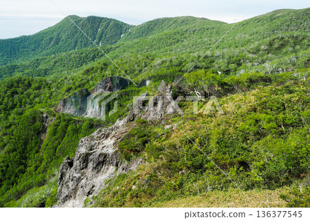 從奧羅弗雷山口展望台看到的岩石峭壁和森林 136377545