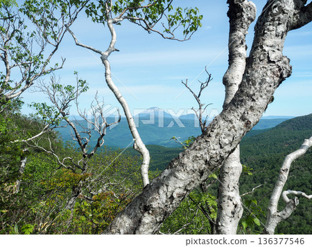 從五郎飛峠眺望羊蹄山 136377546