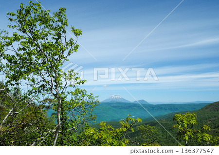 遠處是羊蹄山。 136377547