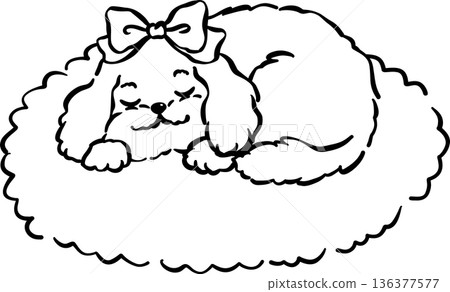 Cozy home happy cavoodle dog outline sleeping on rug mat hand drawn Cozy home happy cavoodle dog outline sleeping on rug mat hand drawn 136377577