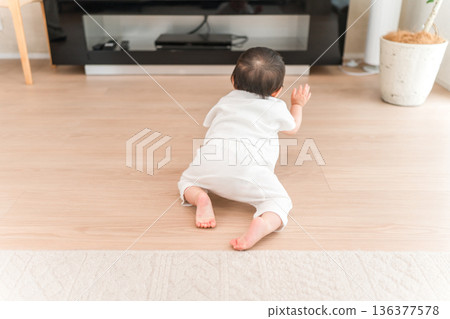 嬰兒在家裡的客廳爬行 嬰兒在家裡的客廳爬行 136377578