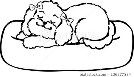 Cozy home happy cavoodle dog sleeping outline in bed hand drawn Cozy home happy cavoodle dog sleeping outline in bed hand drawn 136377584