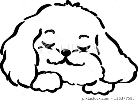 Cozy home happy cavoodle dog sleeping face outline hand drawn Cozy home happy cavoodle dog sleeping face outline hand drawn 136377593
