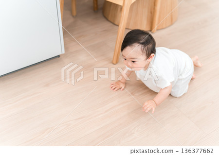 Baby crawling in the living room at home Baby crawling in the living room at home 136377662