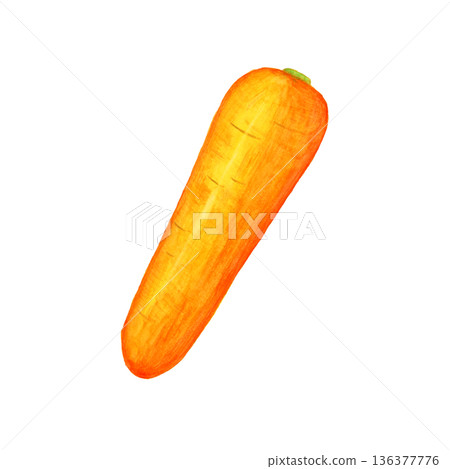 Hand-drawn watercolor carrot (without leaves) | Simple vegetable illustration material Hand-drawn watercolor carrot (without leaves) | Simple vegetable illustration material 136377776