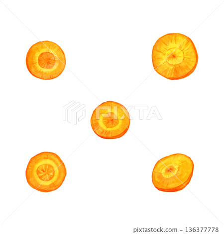 Five hand-drawn watercolor carrot slices | Vegetable cross-section illustration 136377778