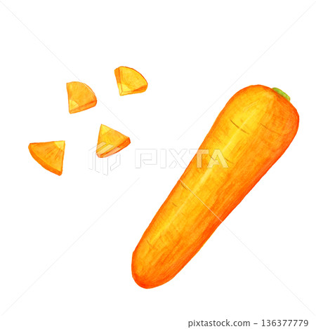 Hand-drawn watercolor carrot set | Vegetable illustration material of a whole carrot and sliced ginkgo nuts Hand-drawn watercolor carrot set | Vegetable illustration material of a whole carrot and sliced ginkgo nuts 136377779